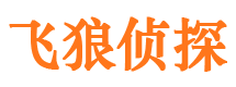 射洪市私家侦探